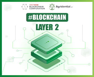 Tổng Quan Những Kiến Thức Về: Blockchain Layer 2