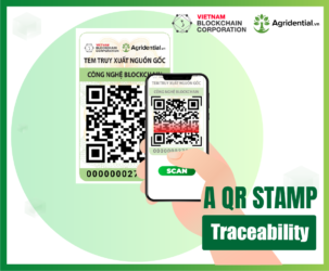 Food traceability with QR codes case study